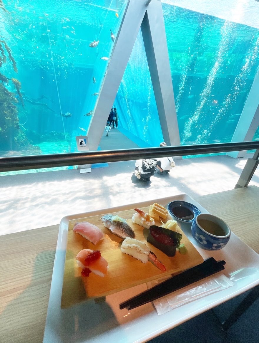 t_beko's tweet photo. 魚を見ながらお寿司を食べるというサイコパスな体験ができるアクアマリンふくしま🐟 https://t.co/tnnro9MEQN