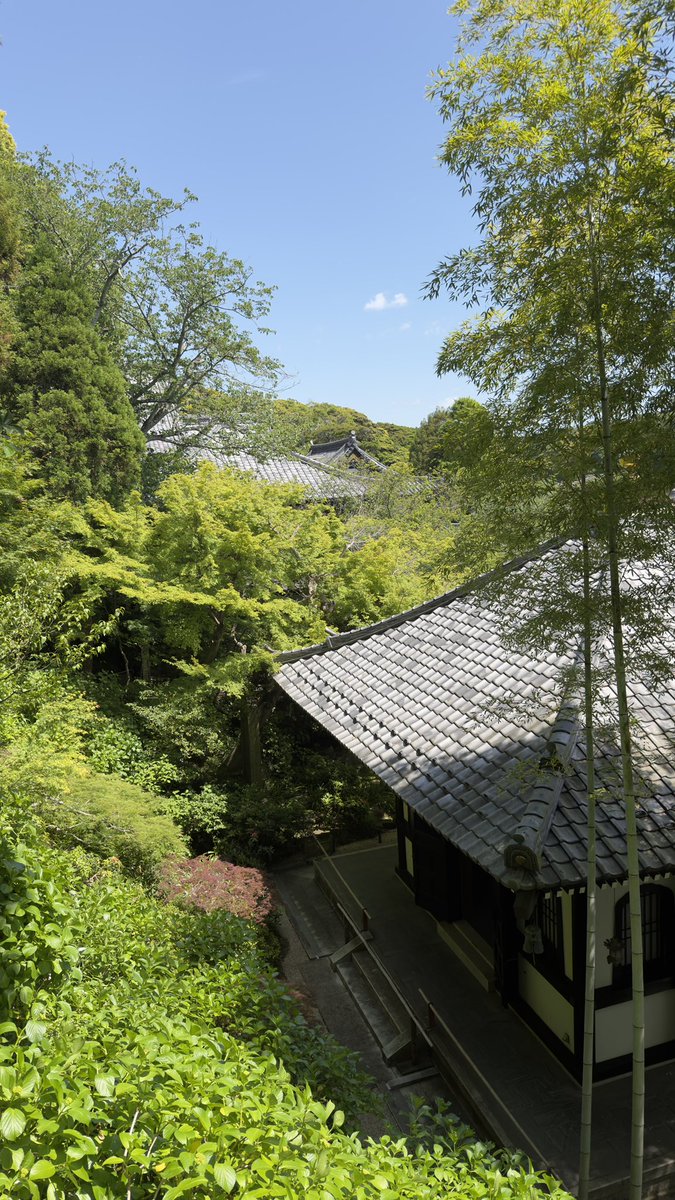 Tokanim_FR's tweet photo. Tout plaquer pour vivre à Kamakura https://t.co/KMkeqrAeHT