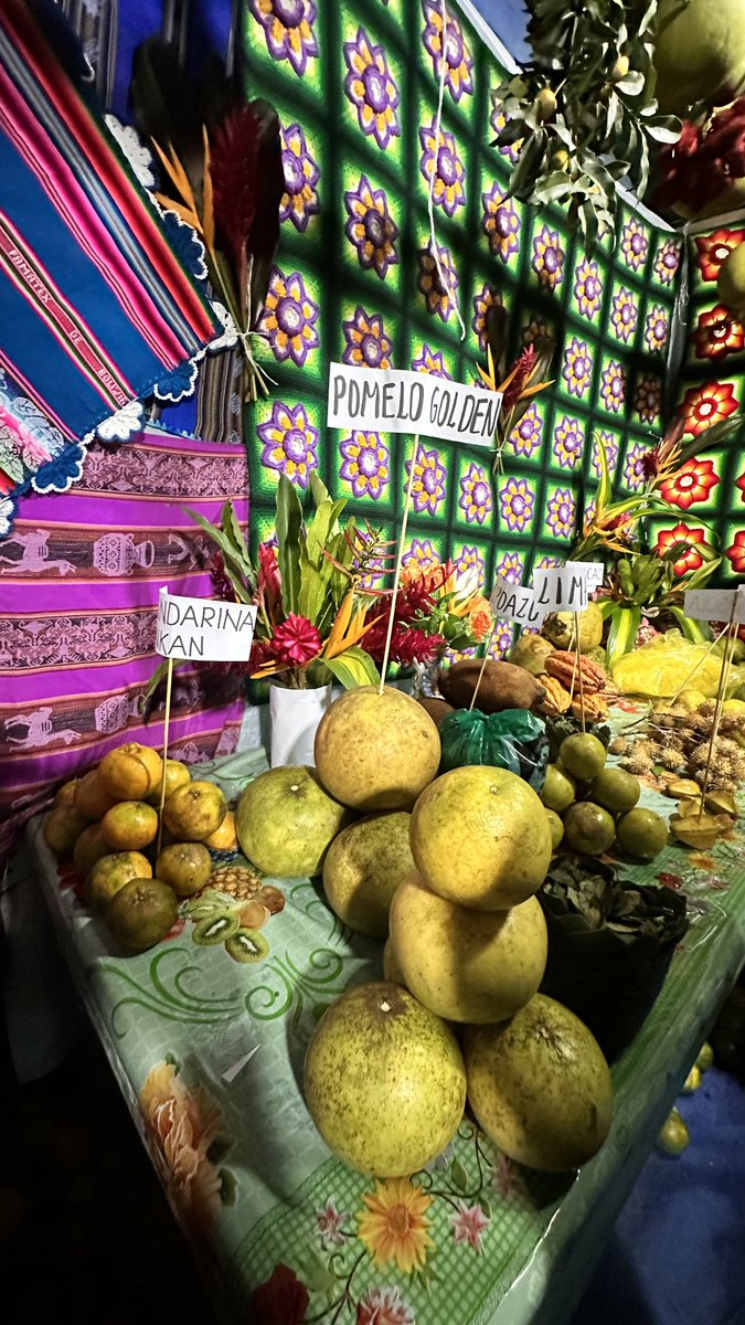 LeonardoLoza18's tweet photo. Participamos de la Feria de la Coca, Producción de Frutas y sus Derivados en #VillaTunari. Destacamos la fuerza productiva del Trópico de #Cbba.
La hoja de coca es identidad, medicina ancestral y fuente de emprendimiento, generando trabajo y desarrollo para nuestras familias. https://t.co/dfGRdRKoe1