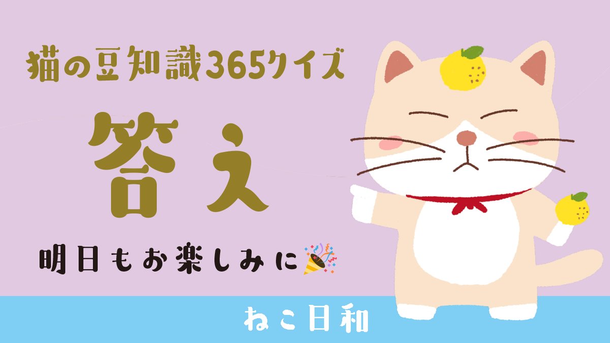 ねこ日和 (@necobiyori) / Posts / X