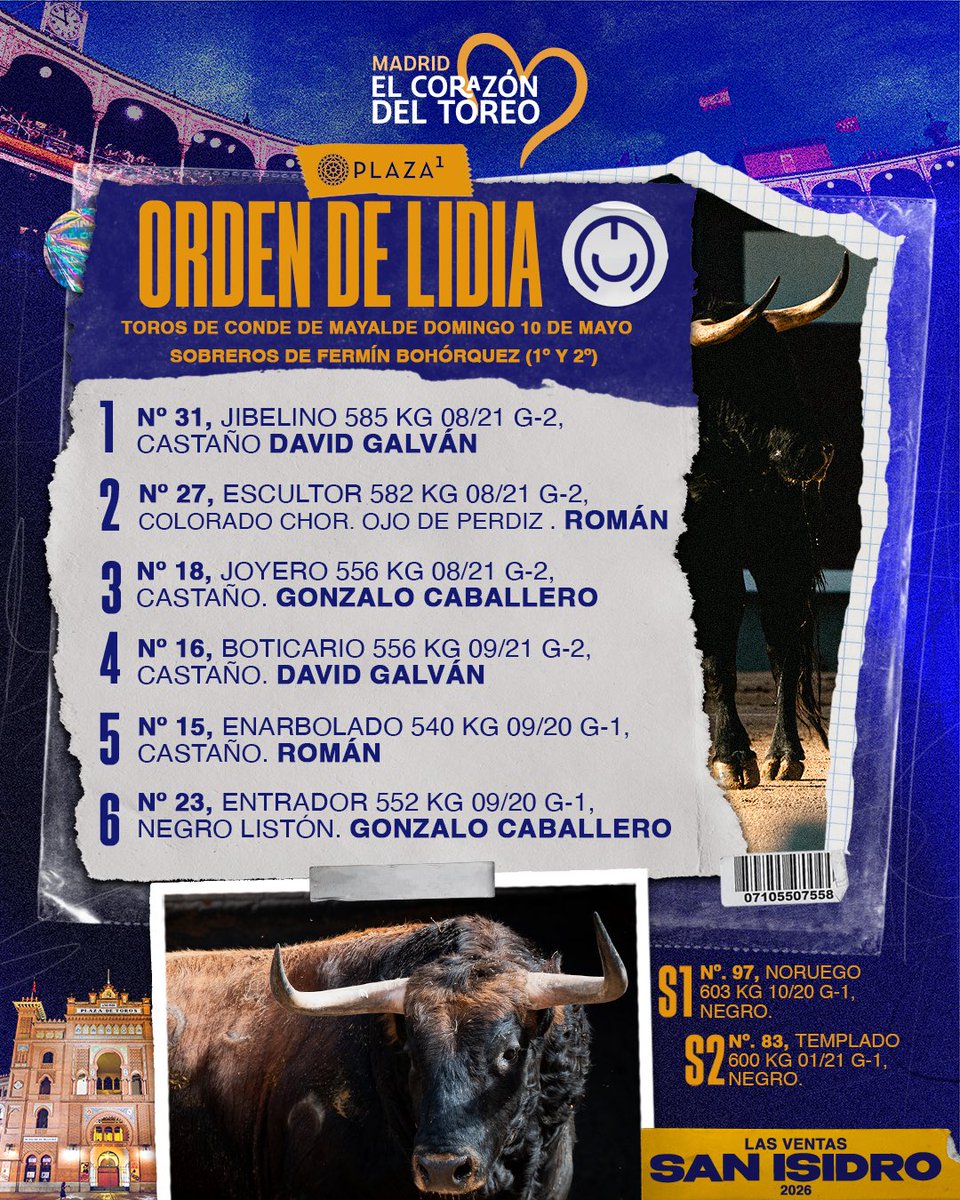 7 TOROS 7 tweet media