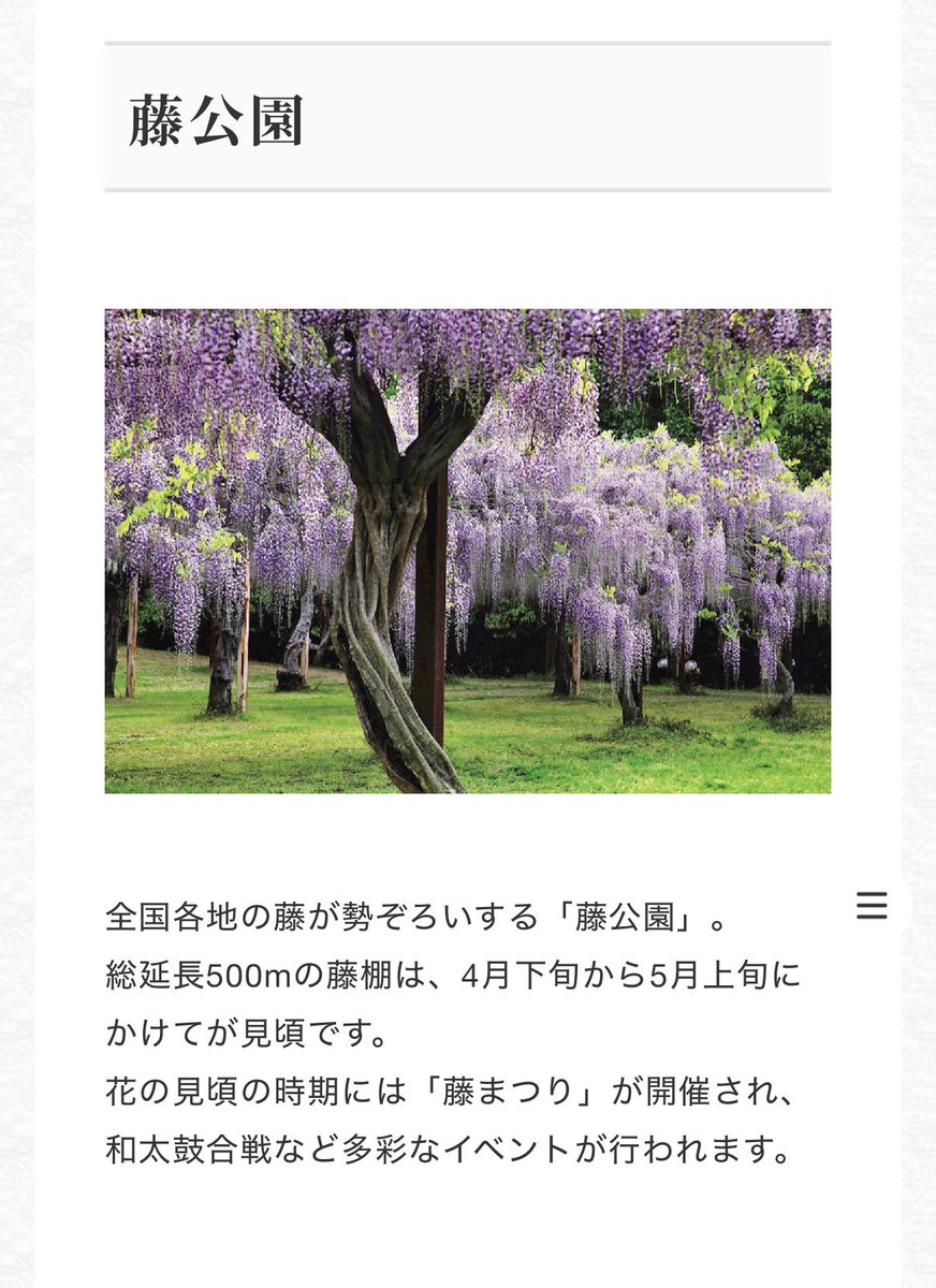 かんちゃん🍊 tweet media