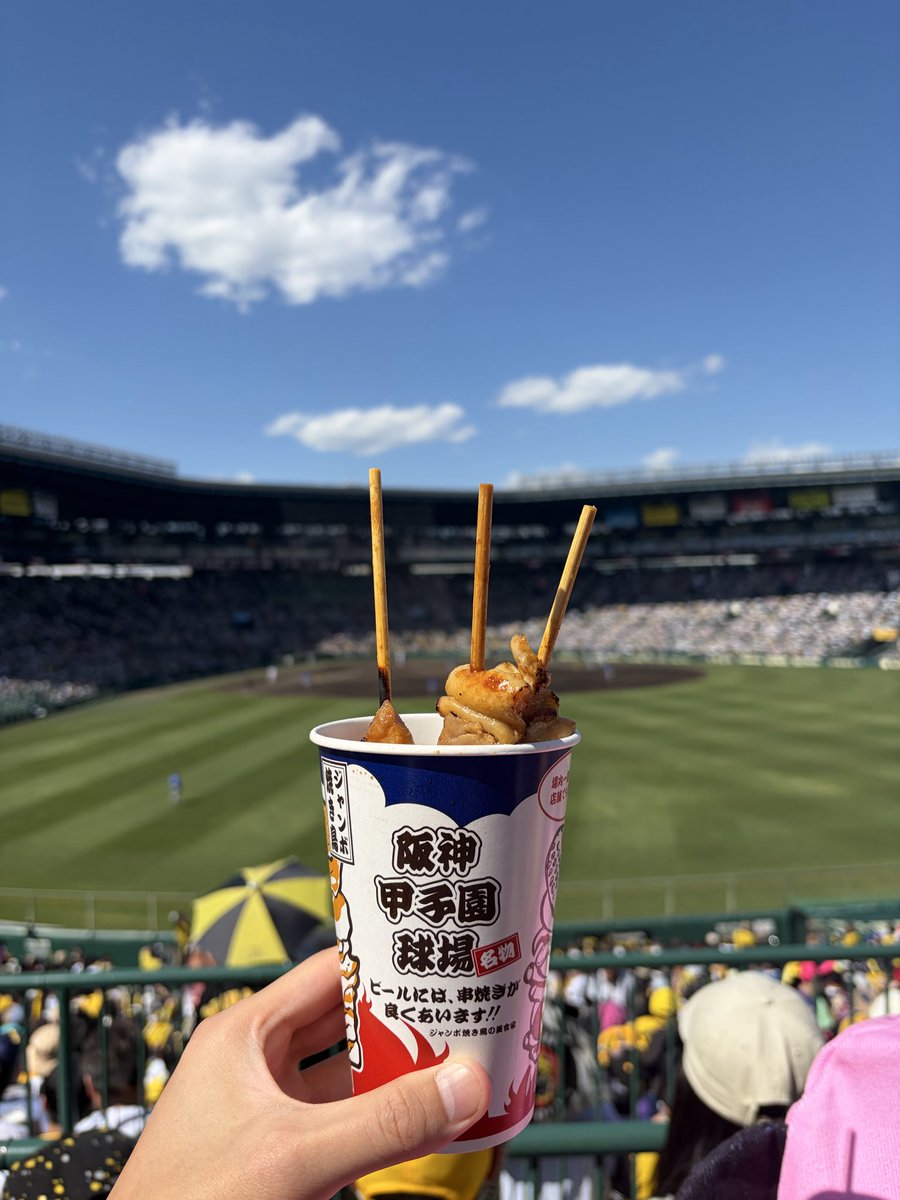 torisana1237's tweet photo. マツダビジパフォもいいけど甲子園はやっぱり最高😌 https://t.co/ZrDMZczsr4
