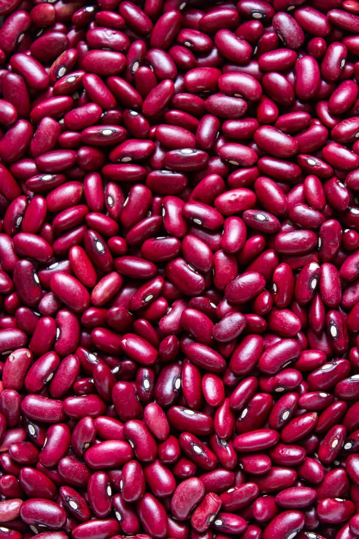 o__Ingabire's tweet photo. Beans are highly nutritious, low-fat, and fiber-rich plant-based foods that provide a significant source of protein, complex carbohydrates, and essential micronutrients like iron, folate, potassium, and magnesium. https://t.co/tqKetJ9wKb