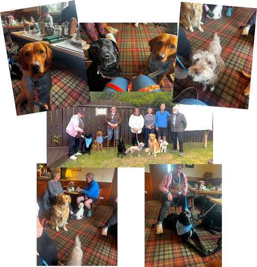 @Therapet-CCST tweet media