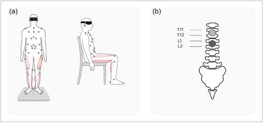 Experimental Physiology tweet media