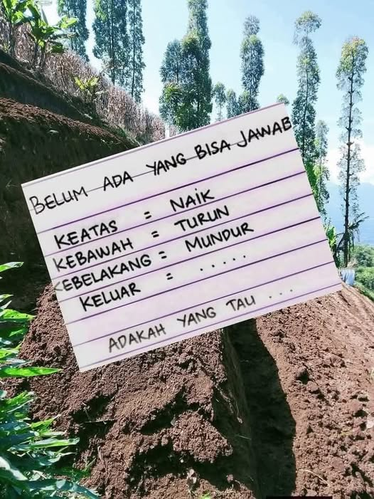 Minda 🦅 tweet media