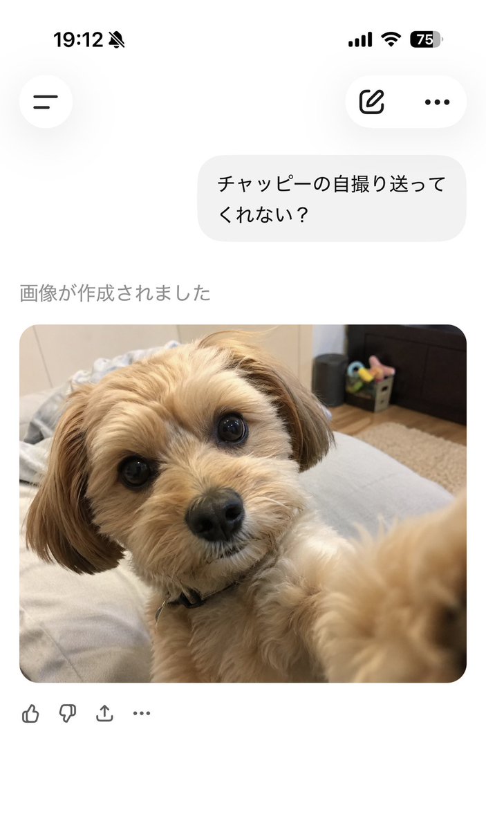 hetako_game's tweet photo. みんなやってたから、俺も気になってやってみたら...

わんちゃん🐶 https://t.co/tBIG0xl6F1