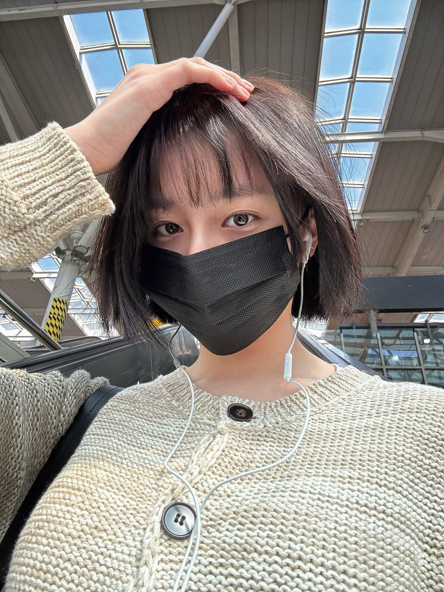 ☘︎ tweet media