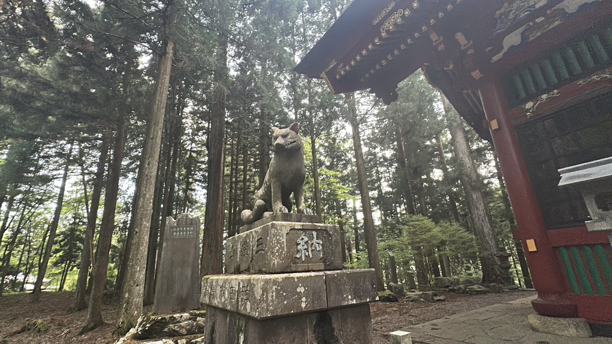 クセーニャ怪談 tweet media