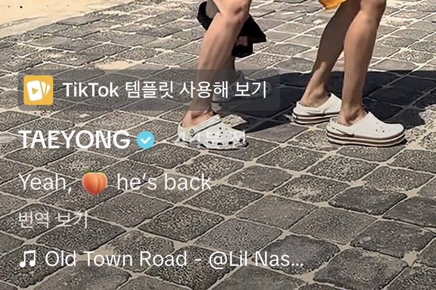 이 분 복숭아 돌아와서 얼마나 신난건지 감안옴