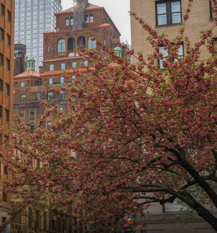 echoesofworld's tweet photo. New York City https://t.co/8TRoicizeN