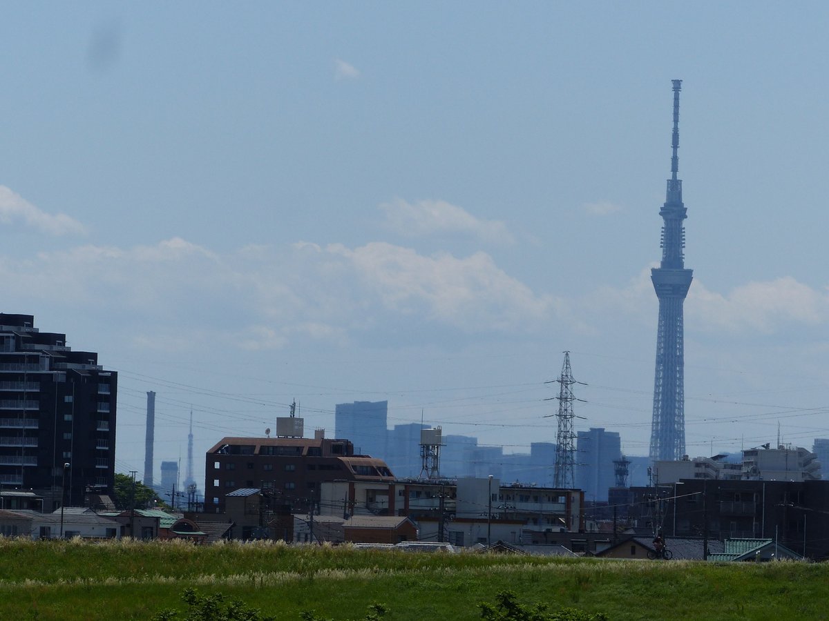 CatMogu's tweet photo. 江戸川の土手から東京タワーは見えないのかと思っていたが、今日偶然見えた。
矢切の渡し辺りから北総線鉄橋にかけて見えるところがあった。 https://t.co/HZLu7kyv4n