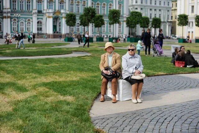 Дикий Петербург tweet media