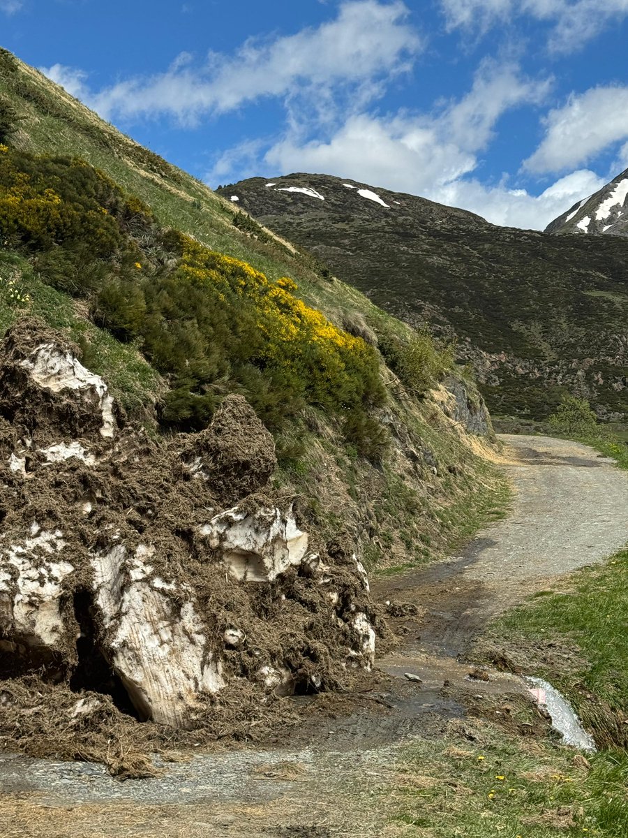 Bagergue_Aran's tweet photo. 🚧❄️ Avís important | Aviso importante | Avís important ❄️🚧
Accès barrat ara pista de Varradòs enquià era Colhada de Varradòs e ara pista de Liat per rèstes de lauegi. ⚠️ Prudéncia.
📸 @alvaroarino @NCabau https://t.co/H0yUtguz43