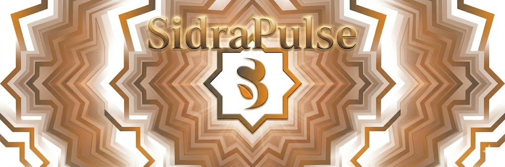 Sidra Pulse tweet media