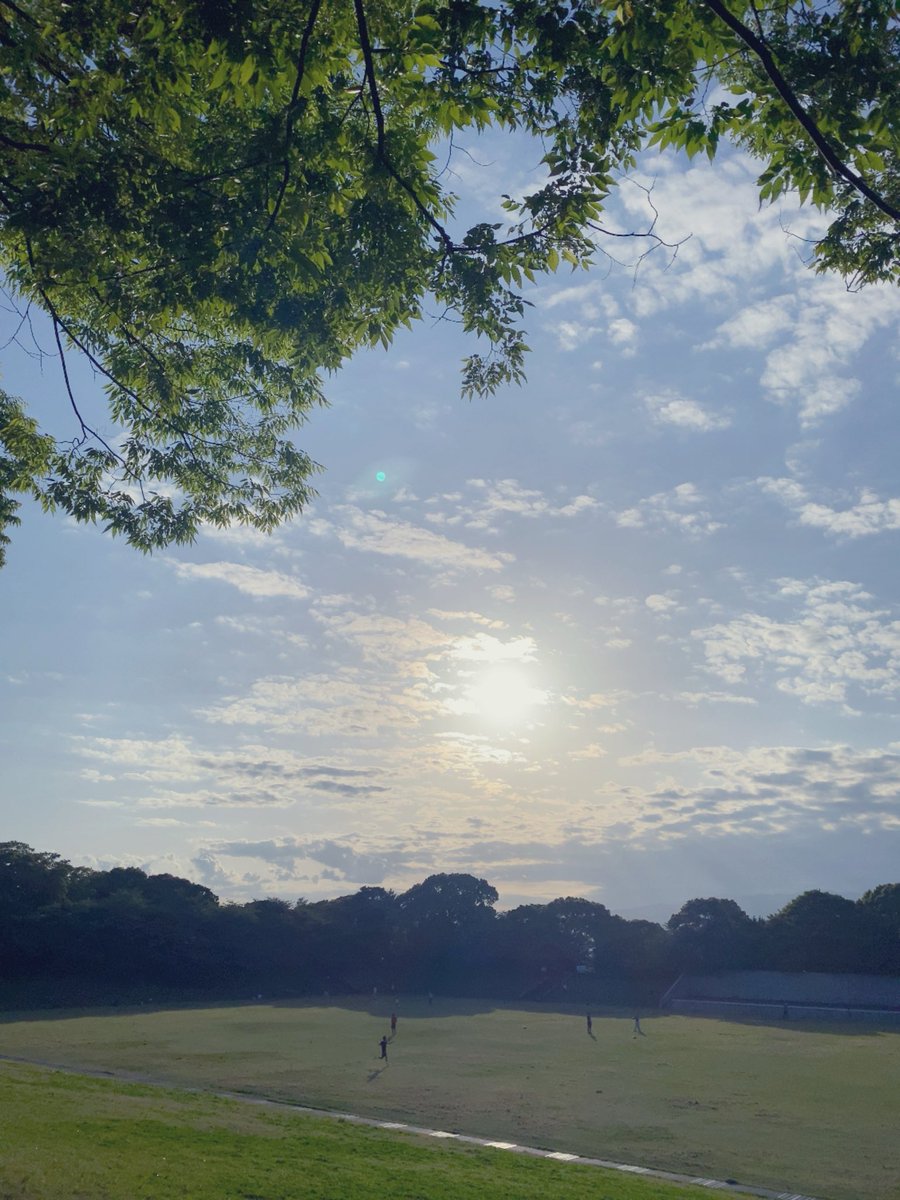 わん tweet media
