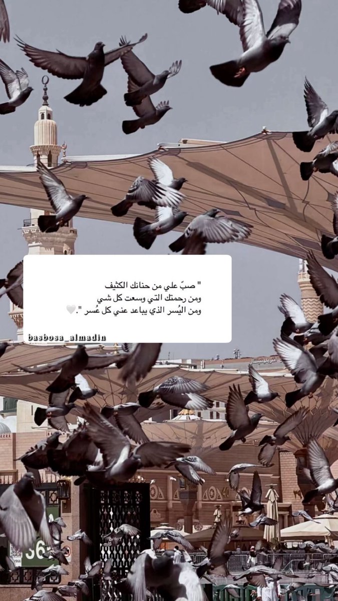 أ.بيلسان المدينه ✩ tweet media