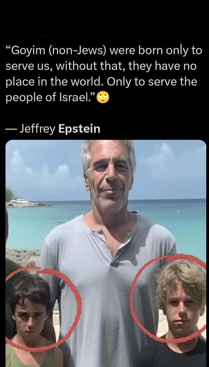 patate_joe tweet media