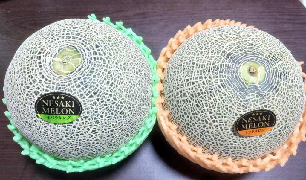 pudding_omusubi's tweet photo. さすがに行ってないわけないんでね😚
鳴かぬなら
鳴くまで待とう
イバラキング🍈
食べ頃タイミングバッチリ(๑´ڡ`๑) https://t.co/zUKY91awpx