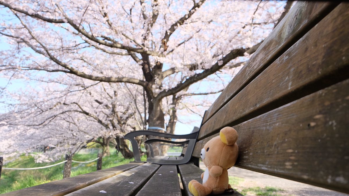ぬい撮りが楽しいモノと思えるように過去の写真をそっとあげる