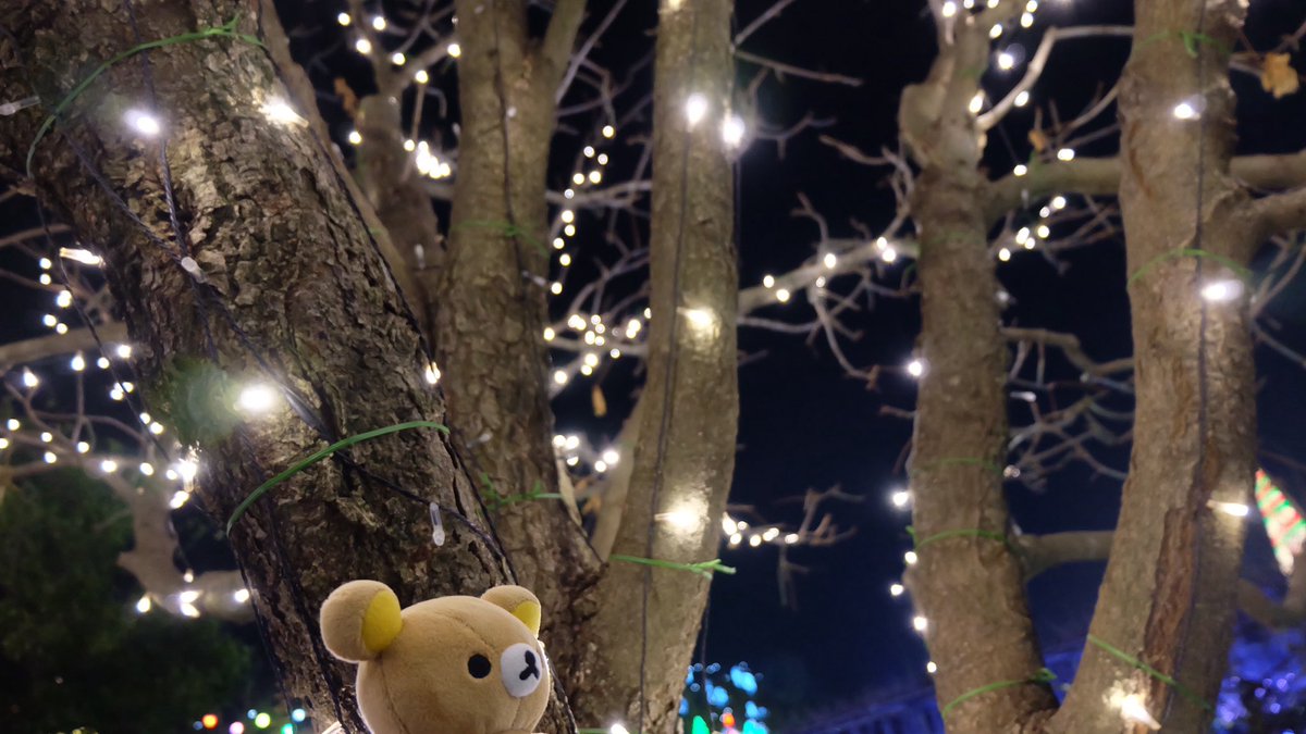 ぬい撮りが楽しいモノと思えるように過去の写真をそっとあげる