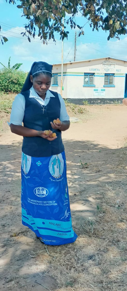 Sr. Anastazia Zimba tweet media
