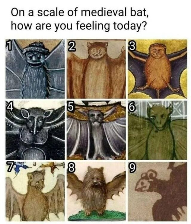 EarlyGates's tweet photo. On a scale of medieval bat,
how are you feeling today? https://t.co/xlOf7PVW9A