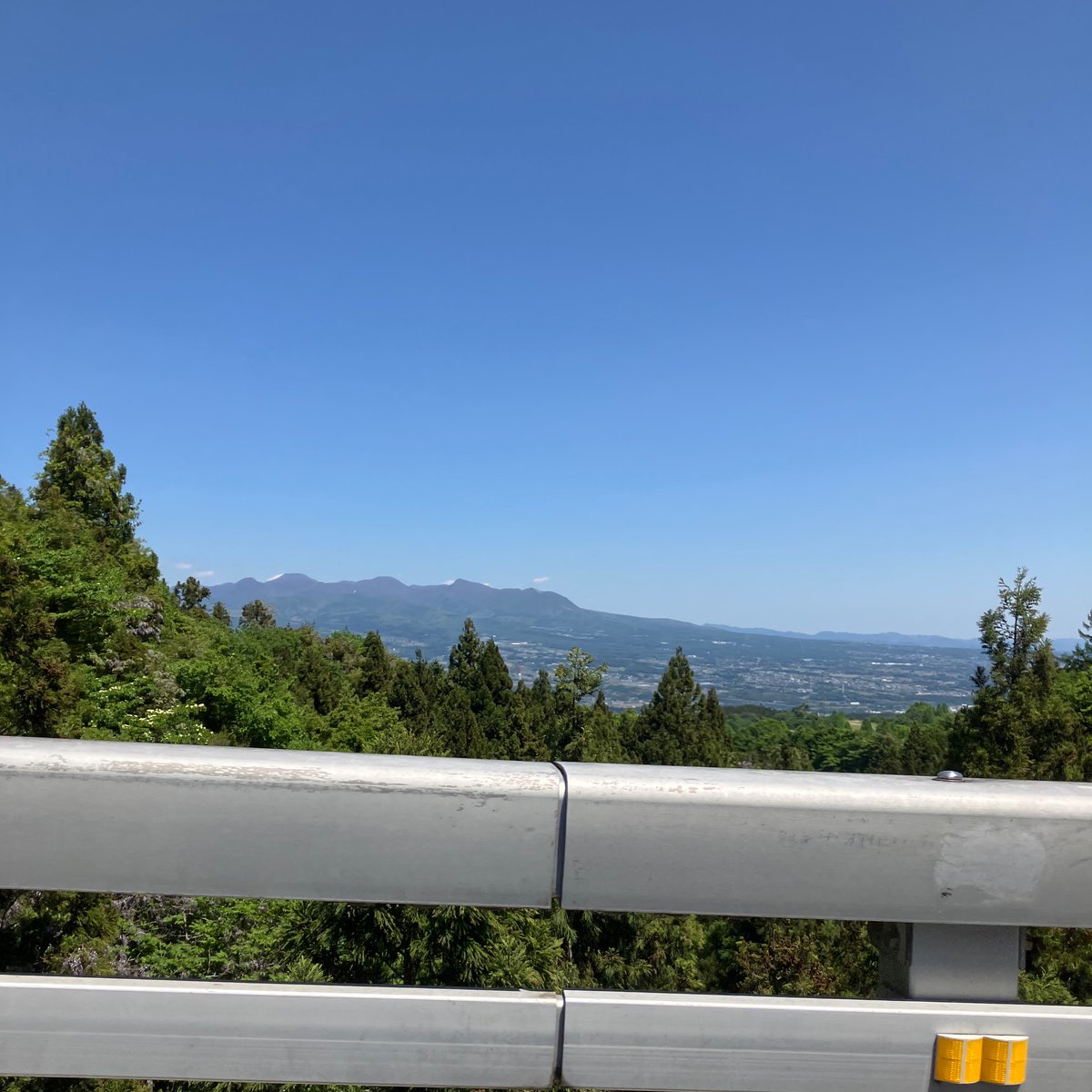 はしもと tweet media