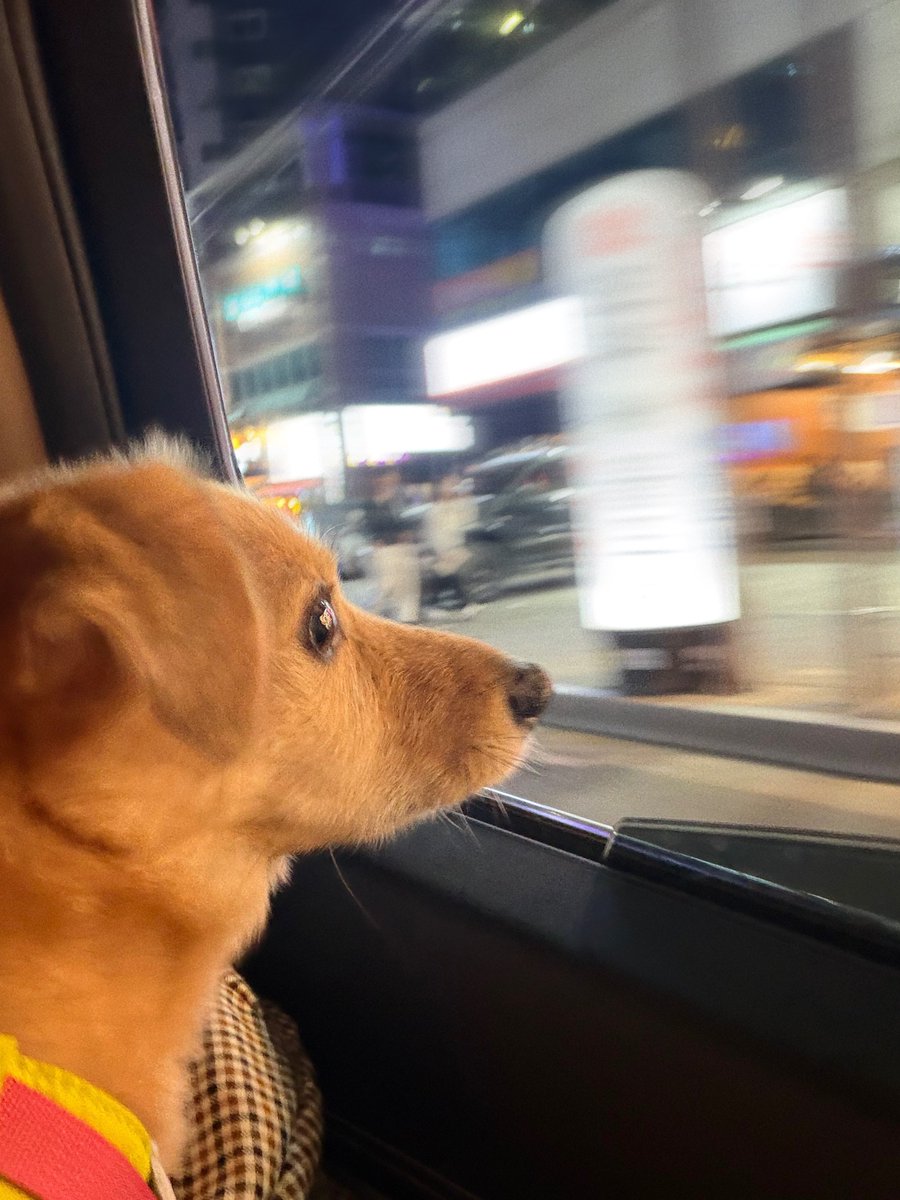 나팔봉 tweet media