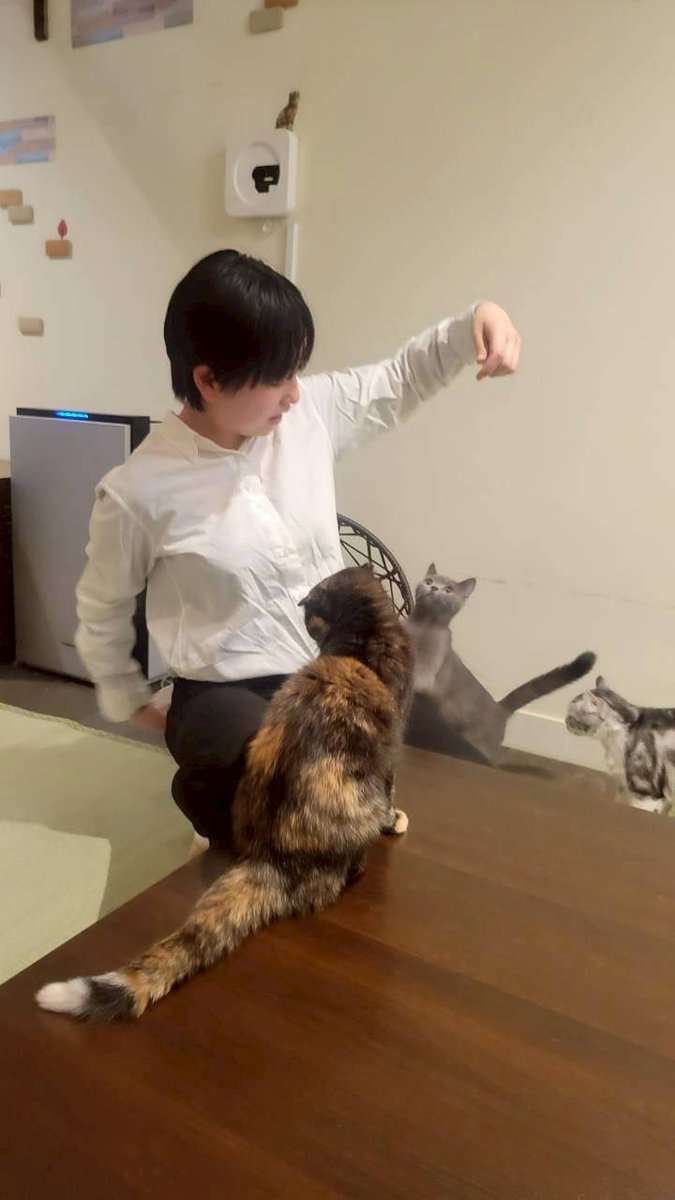 福島ななか tweet media