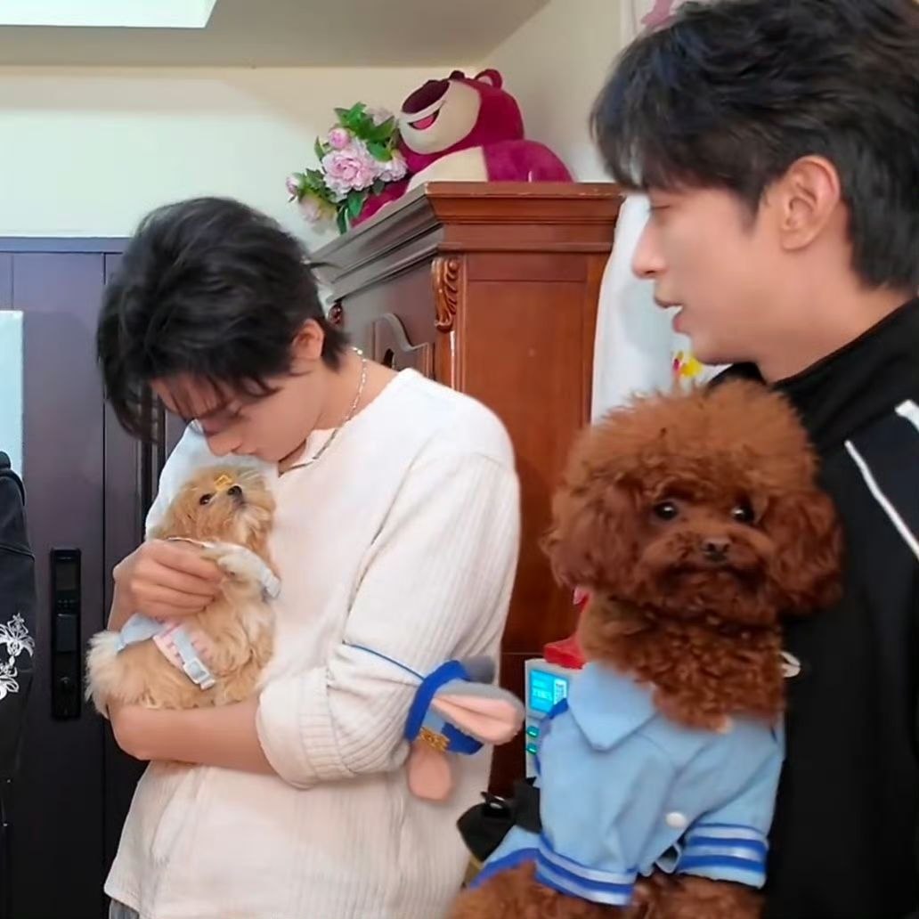 howarehue's tweet photo. MY FAMILY 😭😭😭 lele looks so well-behaved and naicha is so spoiled https://t.co/7zLdcdyL5P