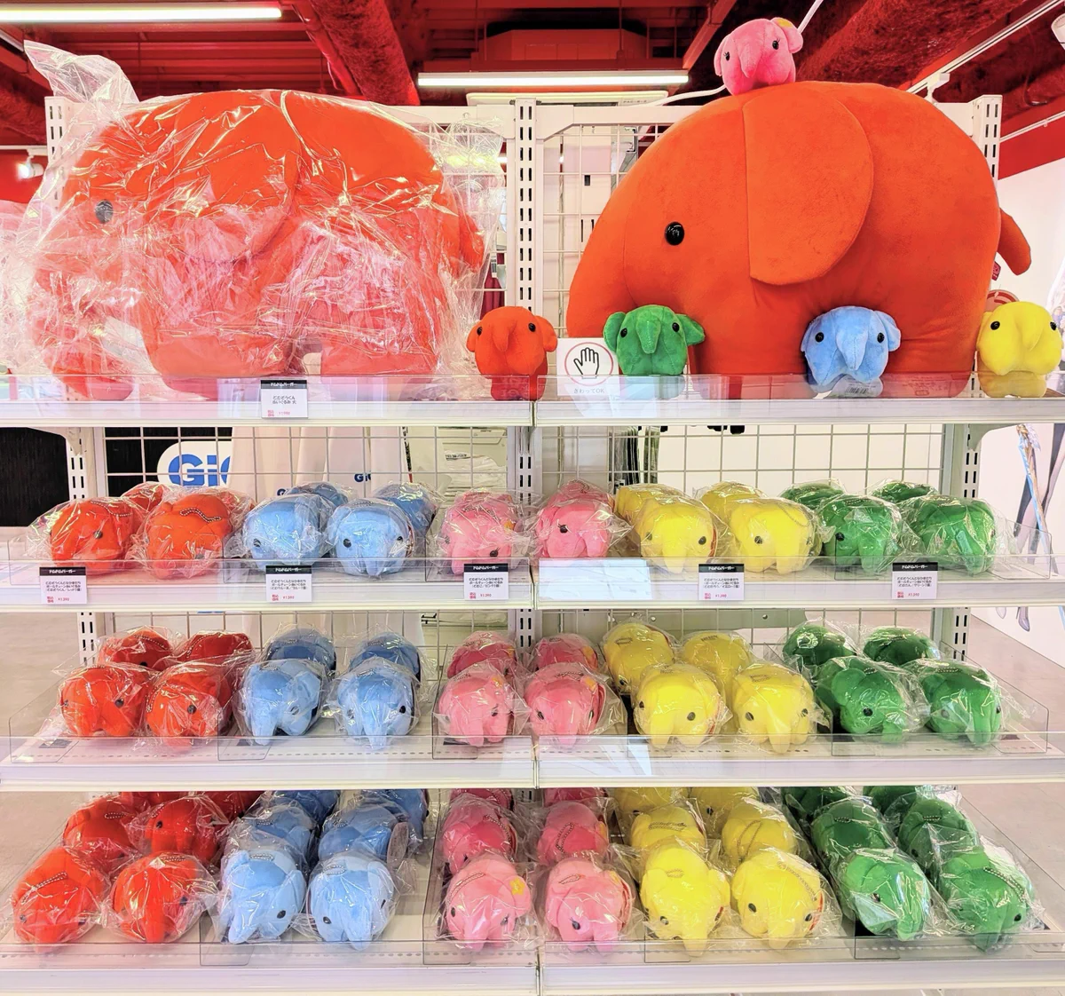 GiGOグループのお店 公式 on X: 