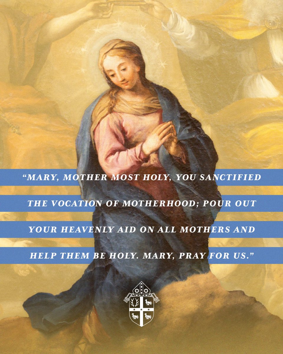 Archdiocese of Detroit tweet media