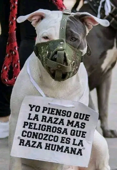 JHON HERNANDEZ tweet media