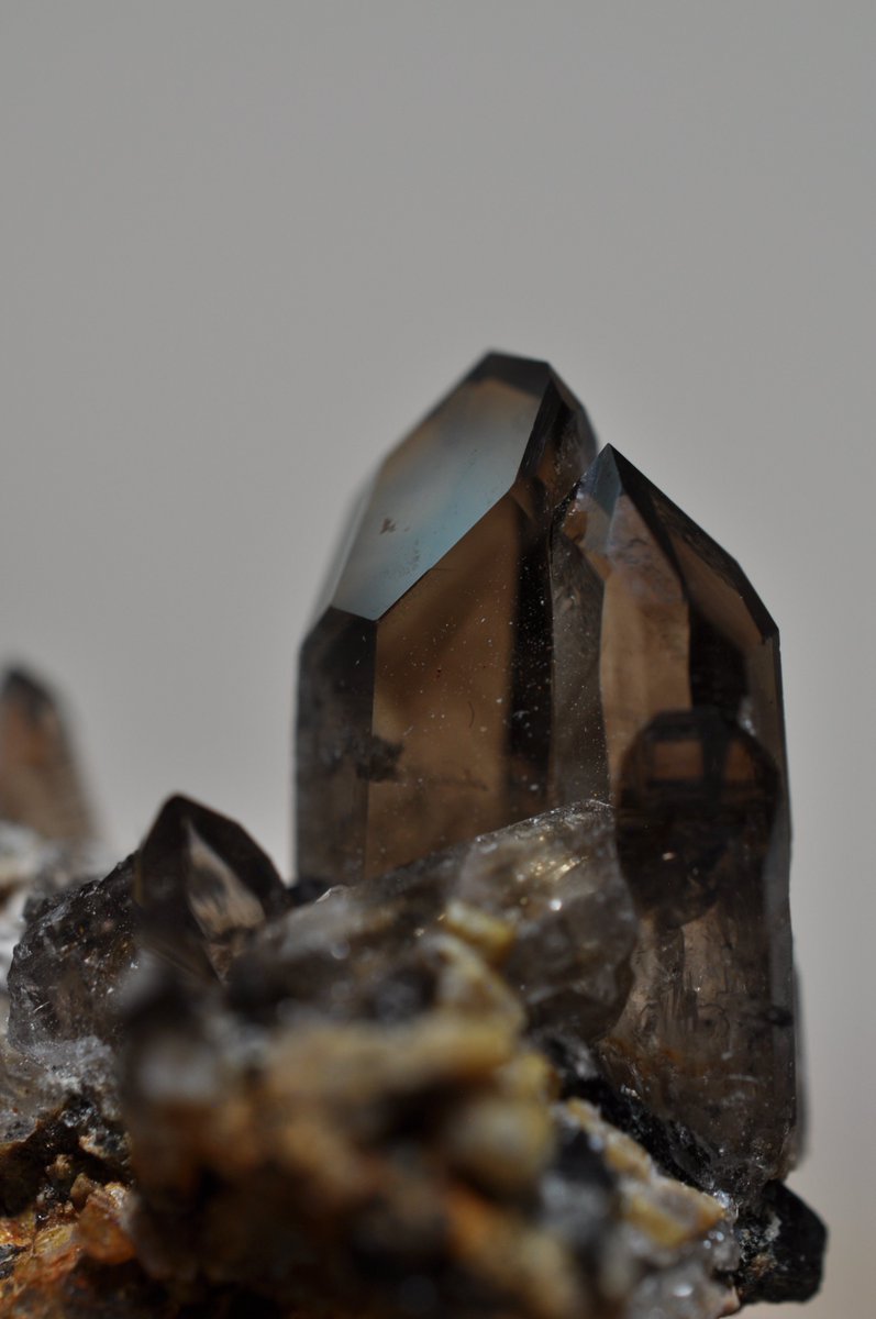 Saxum1357's tweet photo. 遅くなりましたが、LIBER MINERALさん(@LiberMinerals)からお迎えしたSmoky Quartz(煙水晶)です。端正な結晶と透け感が本当に美しい標本です https://t.co/RlzHSy2LdQ