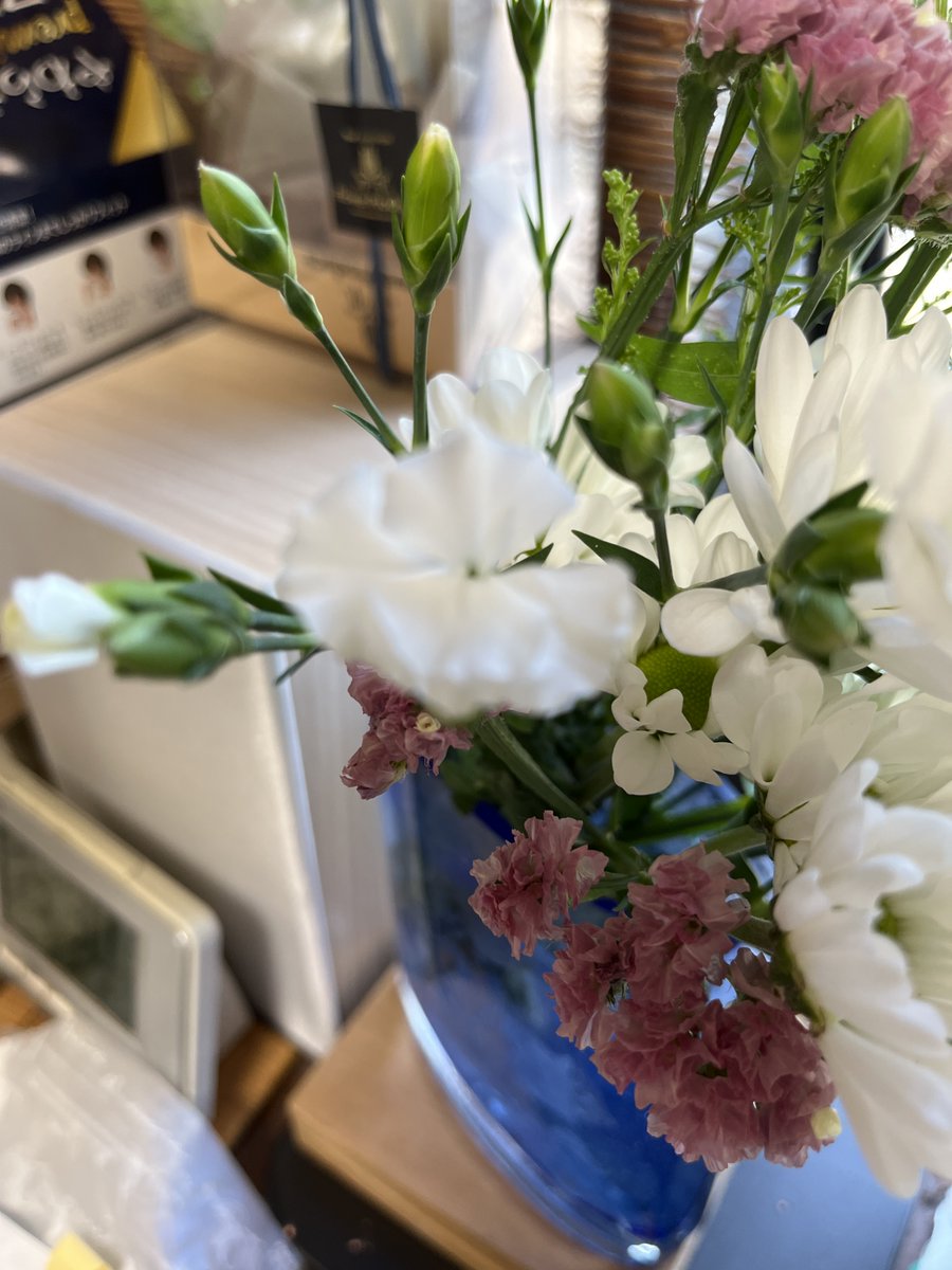 codaimon's tweet photo. 部屋に飾った花。左の緑に白い花弁の花はスプレーマム。色の取り合わせが清潔感があって気に入りました。右はスプレーカーネーションとスターチス。ちょっと正確かどうか自信はありません。
#花 #Spraymum #SprayCarnation #Statice https://t.co/4czHpaef2p
