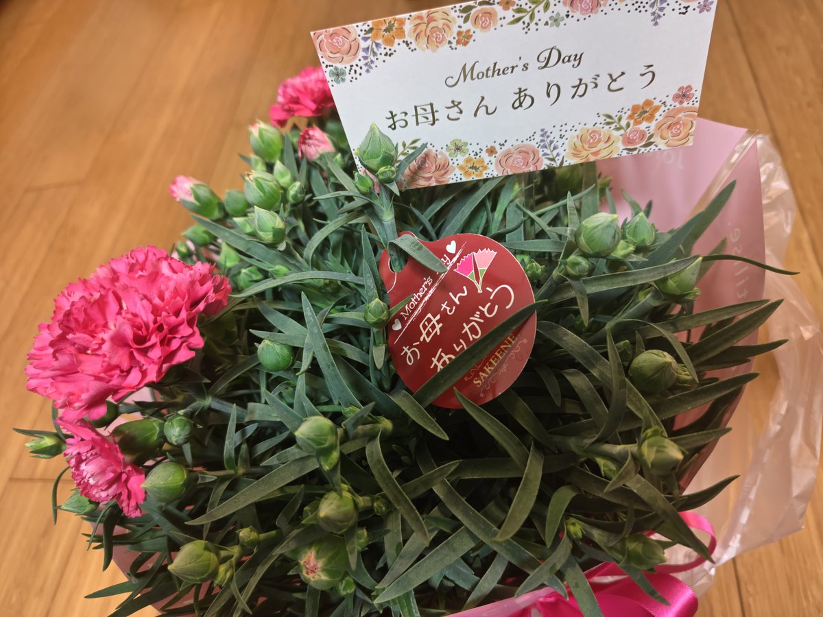 kohanerie's tweet photo. 今年は娘達からカーネーションの鉢を貰いました😆ありがとう🥰
まだ蕾がたくさんあるから楽しめるよって！
2023年の切り花から挿したバラは今年も咲きました🌹
2024年の紫陽花はつぼみです。
2025年に遅れて貰ったブーゲンビリアは咲くかな？？
#母の日 https://t.co/0v7xcVN4jS