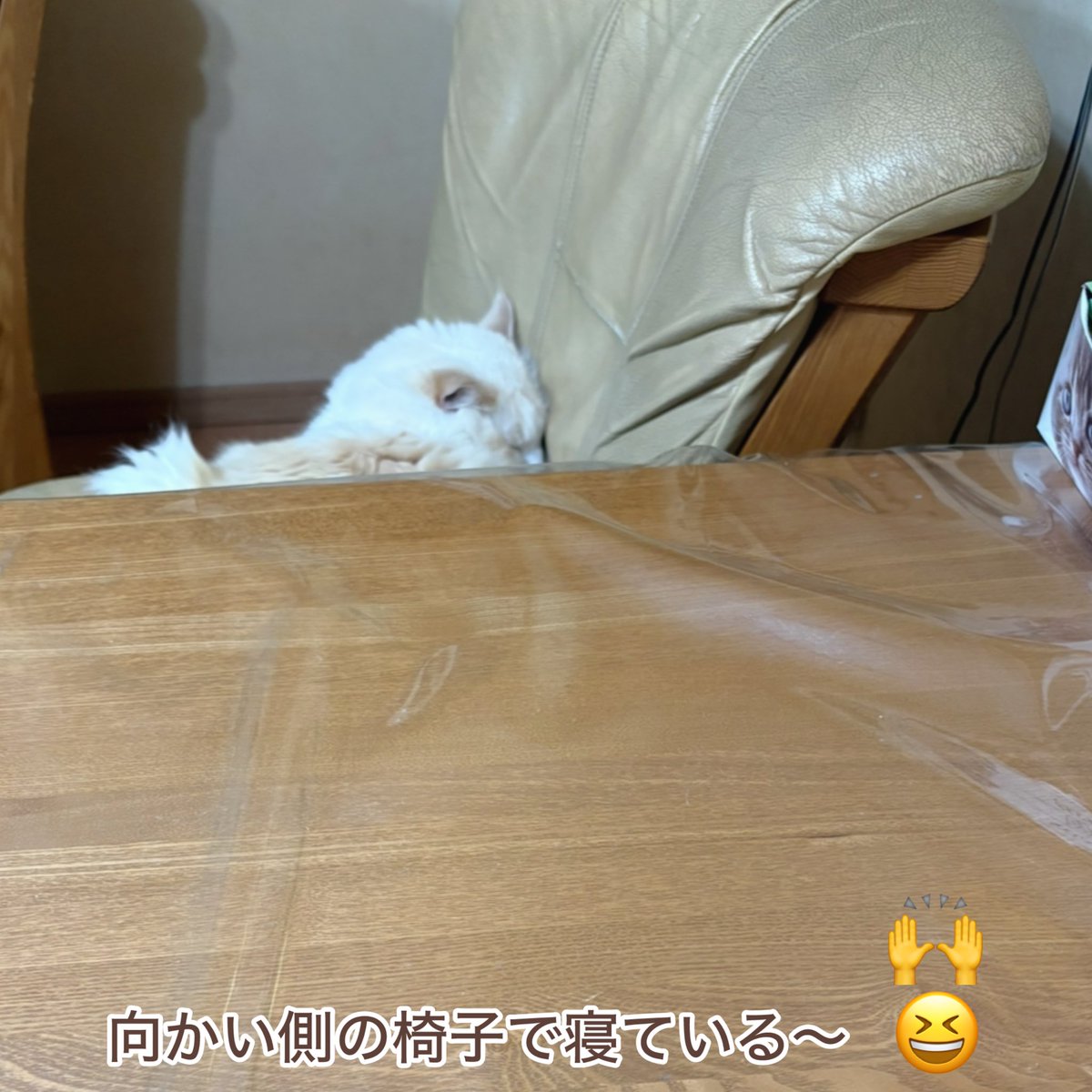 シン tweet media