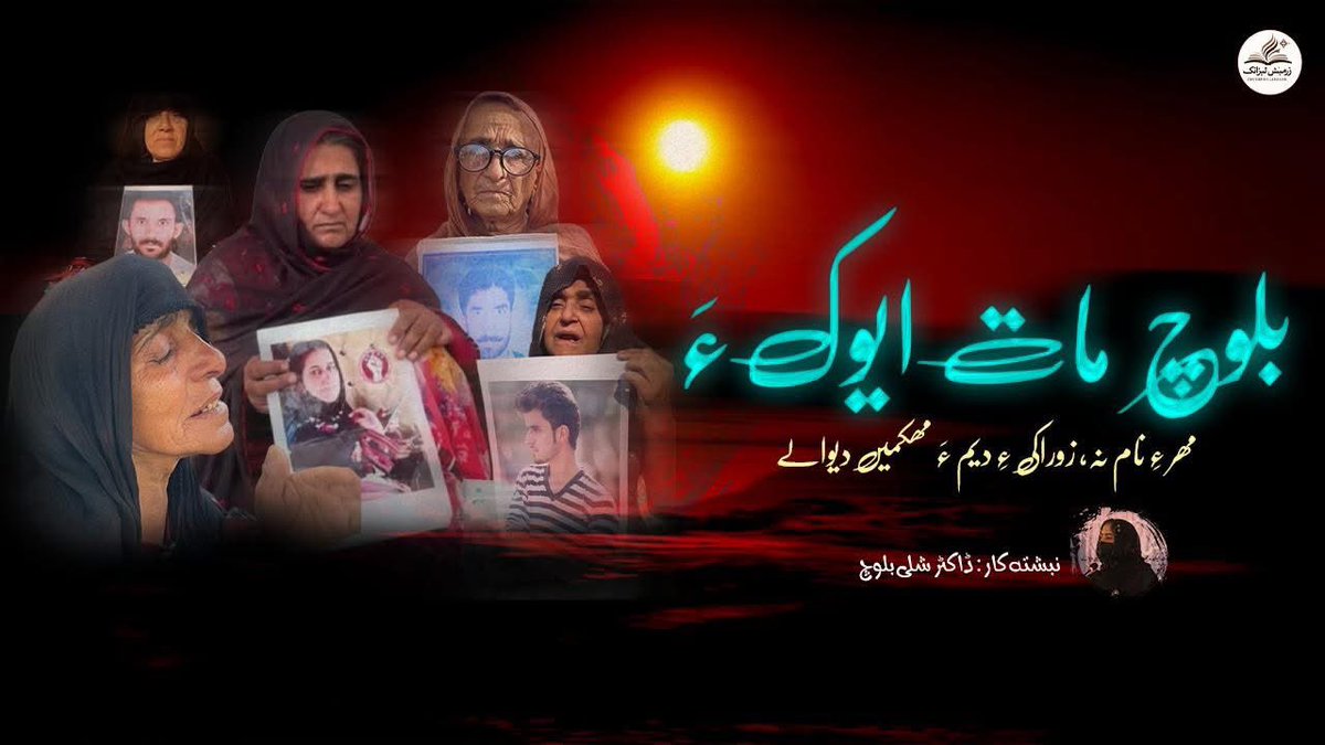 Shalee Baloch tweet media