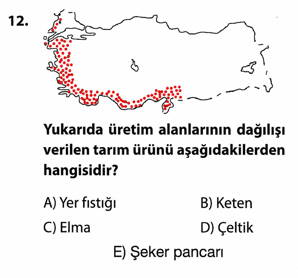 Tarih & Coğrafya tweet media