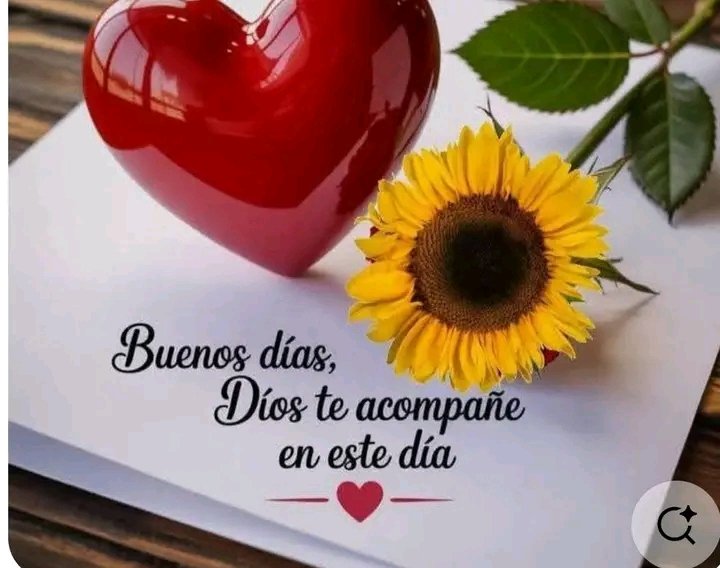Angelomago1's tweet photo. Excelente día para tod@s,disfruten de sus actividades. ♥️🌻⚘️ https://t.co/OGO2aQDssb