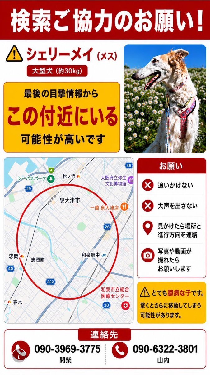 三好大成 tweet media