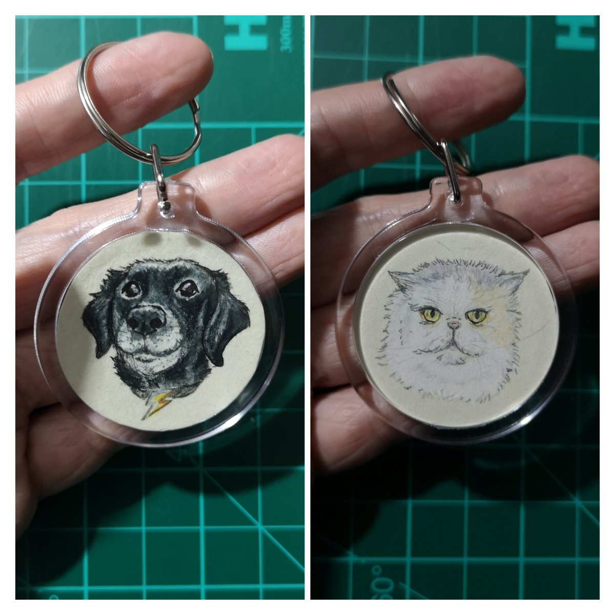 bouncebckbelle's tweet photo. Meet Thunder & Izzy! This double-sided keychain was commissioned by a fellow FoTS for another FoTS to bring them joy during a challenging time. Pleased that after a few delays, mini Thunder & Izzy are now in the ๐บ๐ธ!
I'm open for commissions. DM me for details!
#MarjDrawsPets https://t.co/8DqHbZuHyn