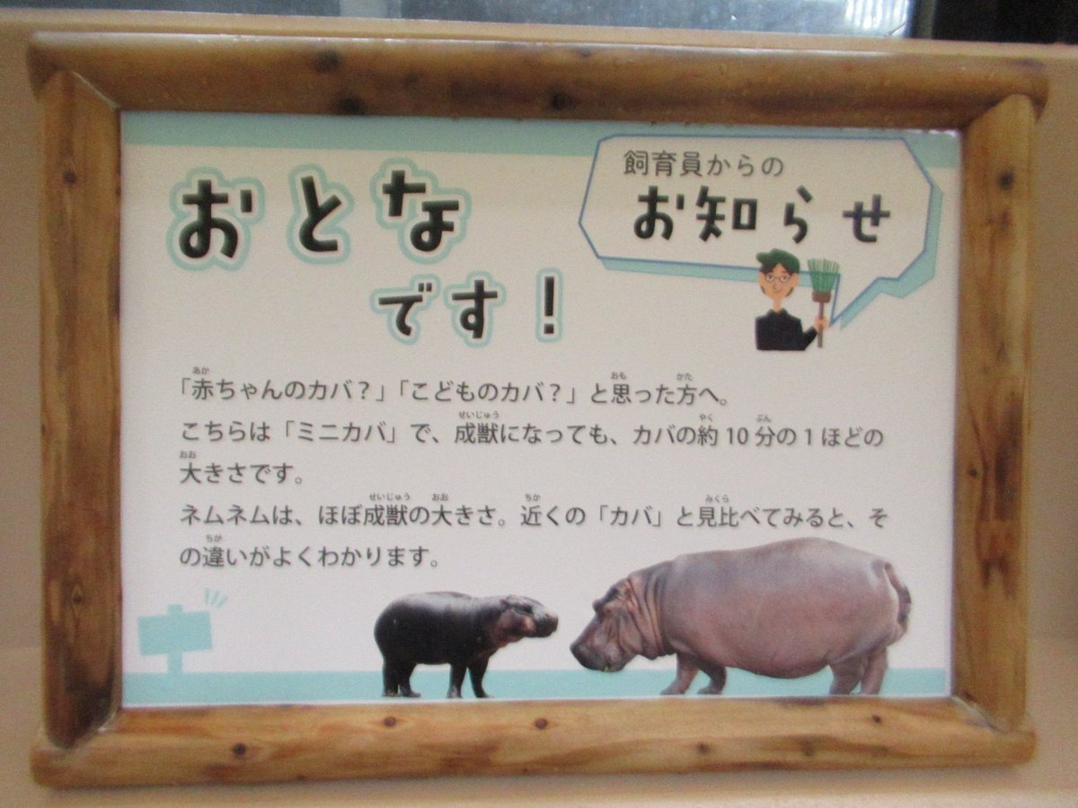 誰かのサブ垢 (@kVWsa4sNlzZr1KK) / Posts / X
