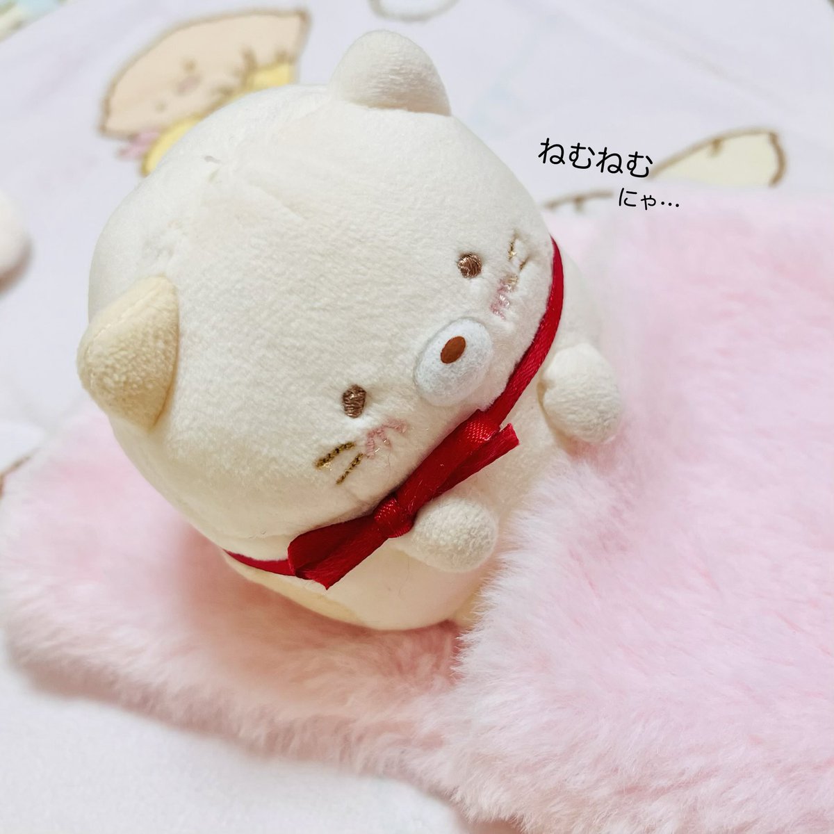 ねこた🐟🐱🍙 (@nekota_GvNvT) / Posts / X