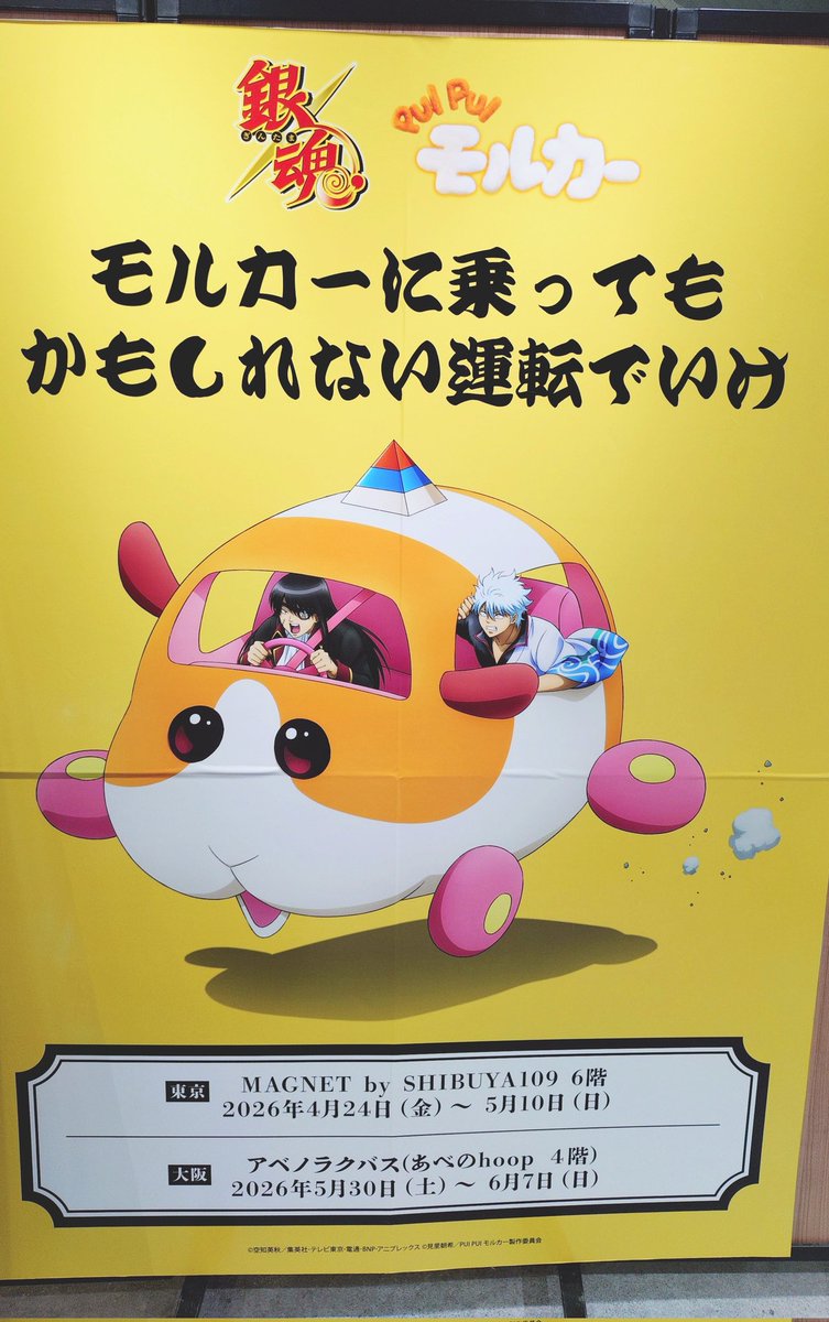 ﾓﾙﾓﾙﾓﾙﾓﾙﾓﾙﾓﾙﾓﾙﾓﾙ🐹🚕 とりあえず見に行けてhappy