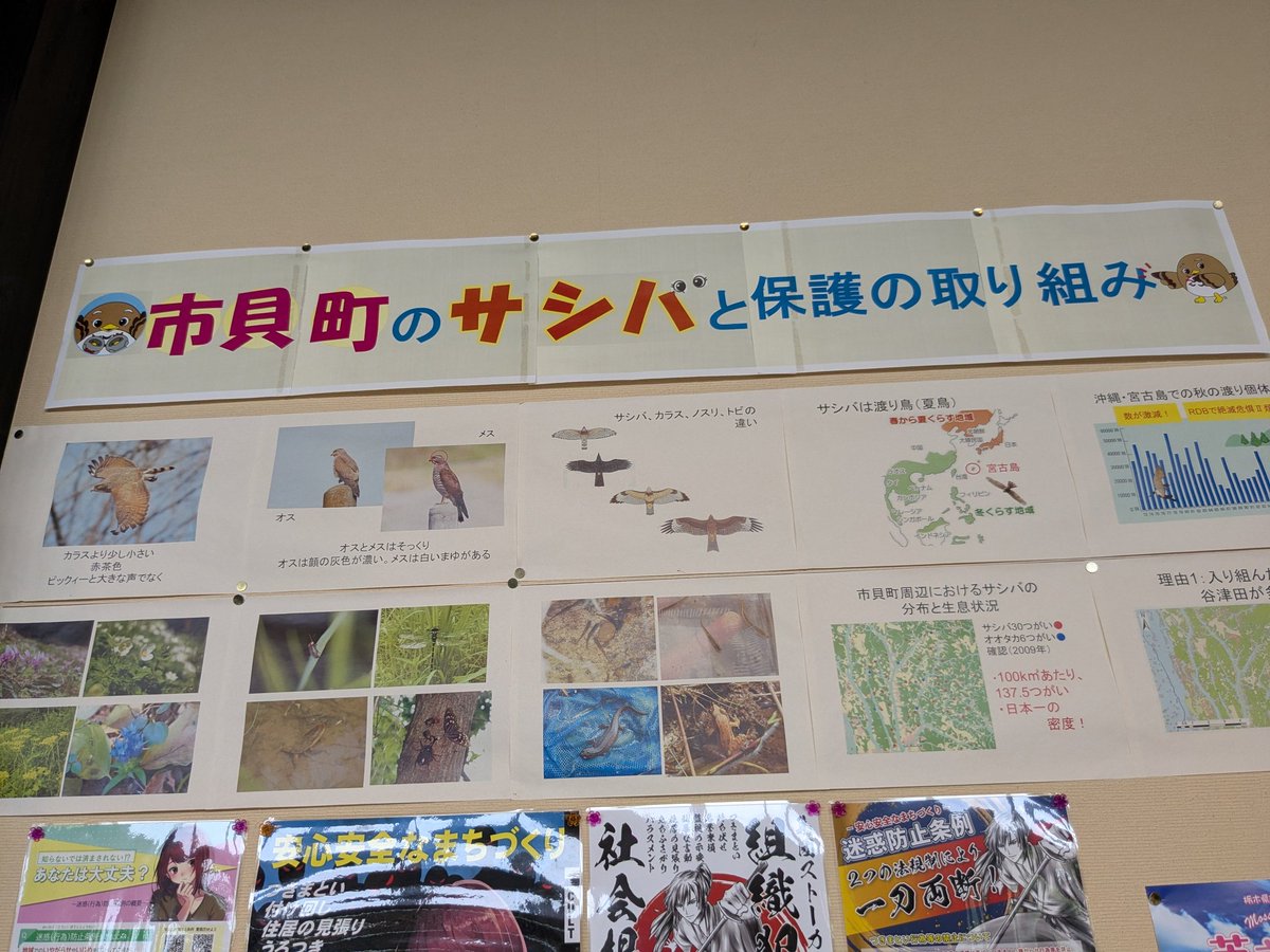 えさし tweet media