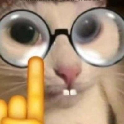 Miaw tweet media