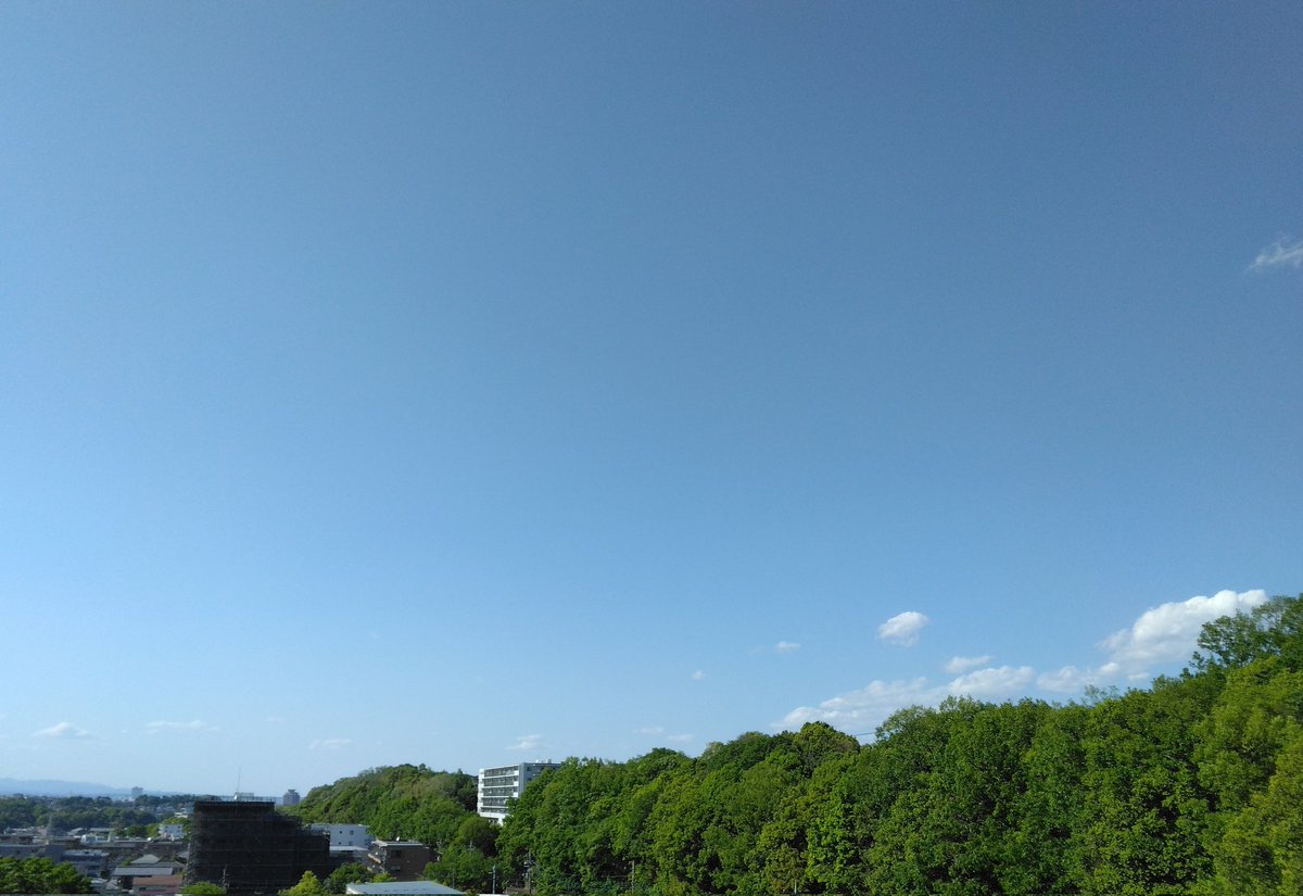 ねぎっちょ tweet media